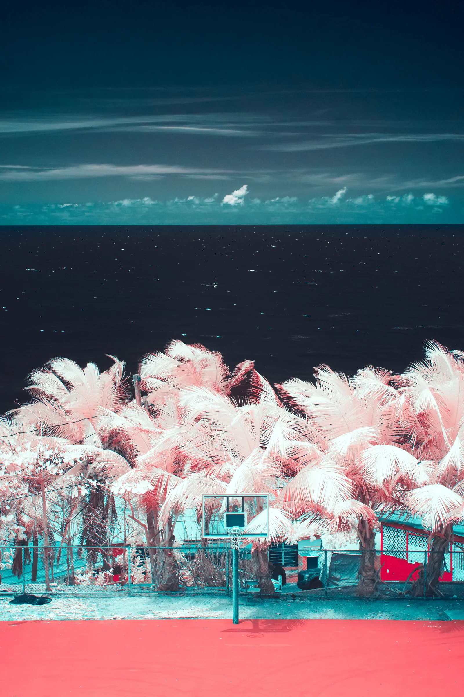 Pale pink palms stand above an aqua building and a red basketball court beneath a dark teal sky.