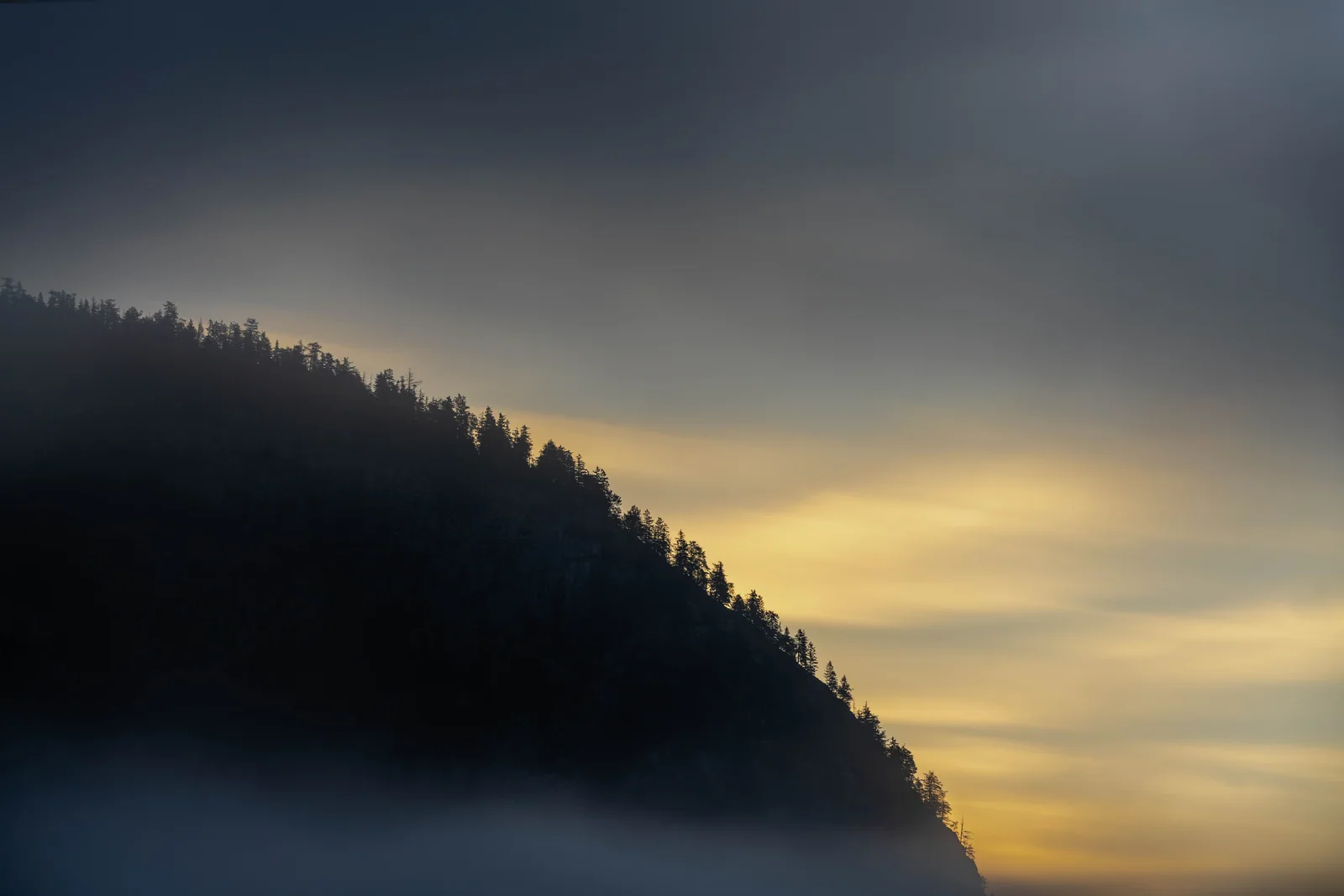 A dark diagonal ridge of evergreen trees recedes into mist beneath a pale golden sky.