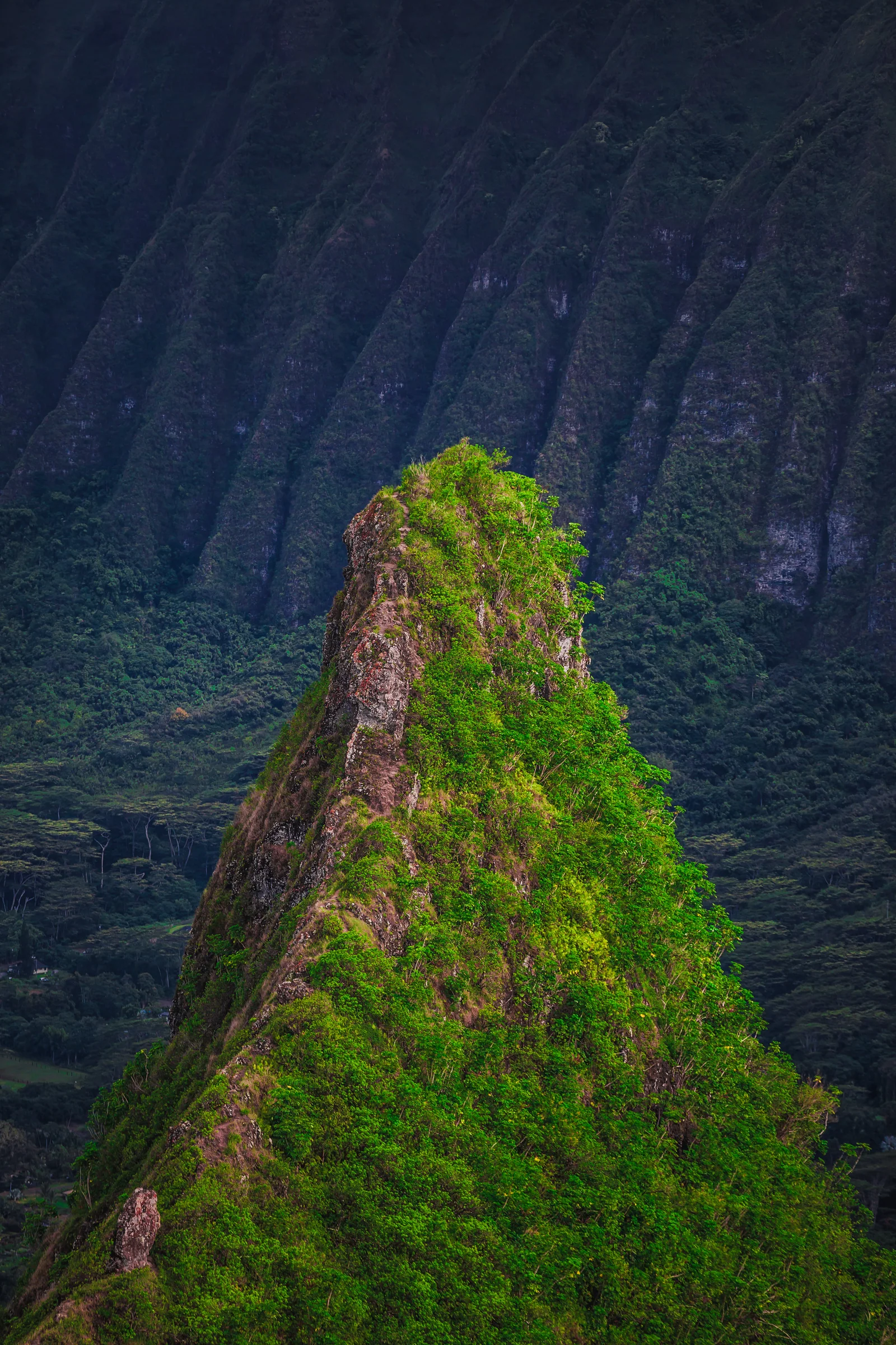 A narrow green mountain ridge cuts across the dark folds of a steep mountainside.